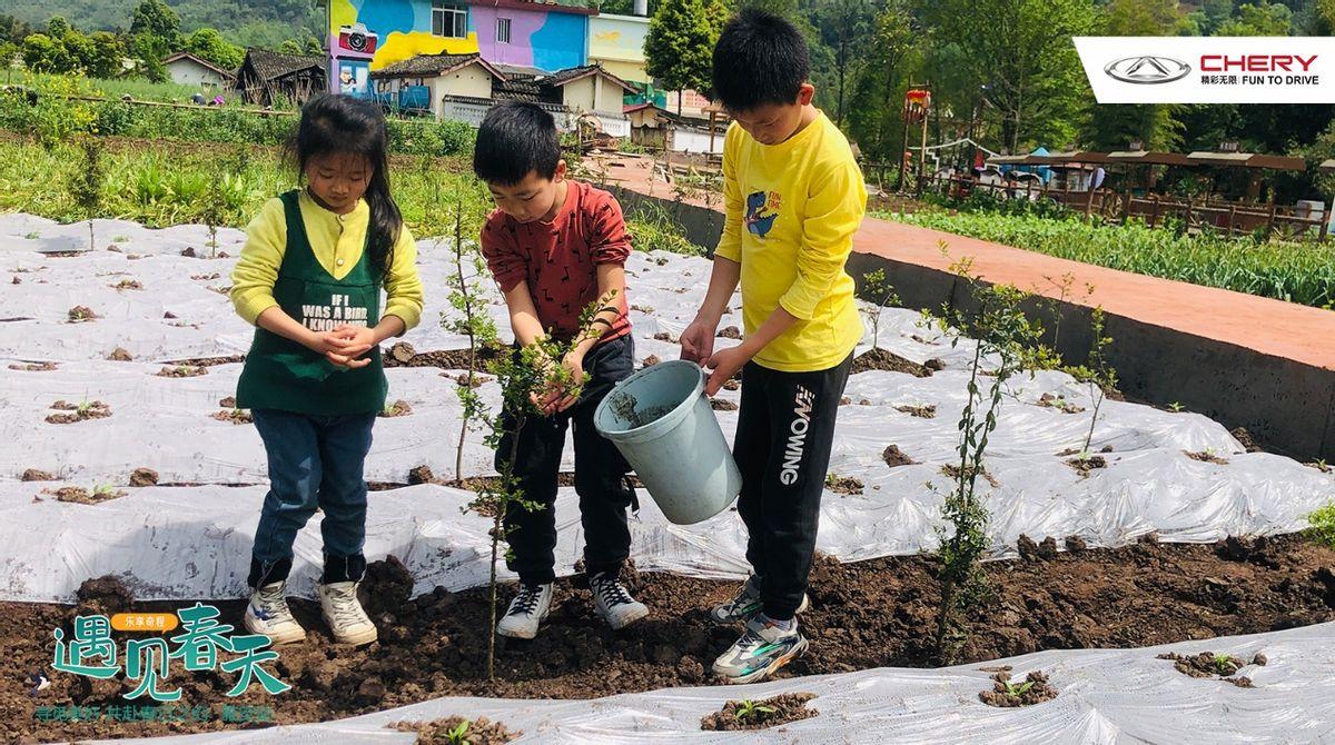 乐享奇程 | 花艺美学季,在田野花间,享受美好旅途