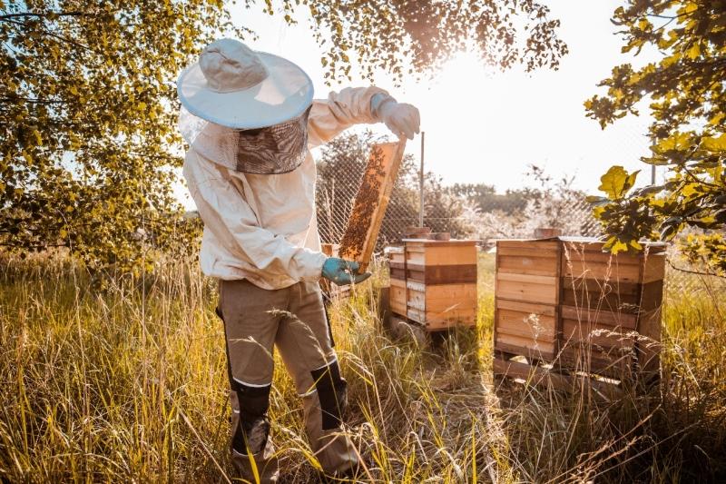 世界地球日特别活动 保时捷莱比锡工厂提升资源使用效率颇具成效