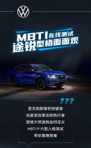 MBTI在线测试 途锐型格面面观