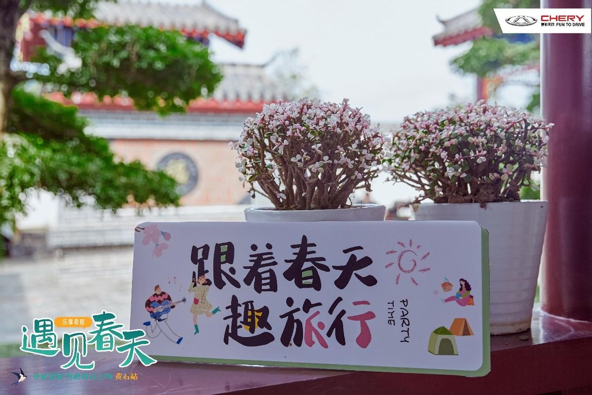 乐享奇程 | 用相聚别春天,迎初夏