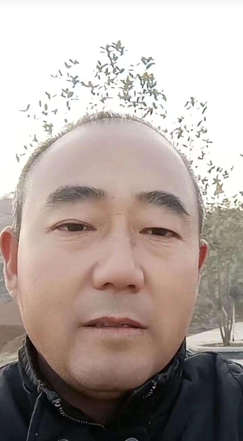 上市即成爆款，“三十年老司机”与“欧马可X”的双向奔赴