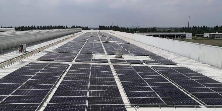 福特汽车加入“先行者联盟” 承诺助力零碳技术商业化