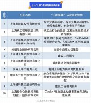 入选十大“上品”卓越贡献品牌荣威RX5打造国货精品