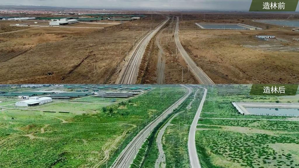 大众汽车集团(中国)受邀参与世界防治荒漠化与干旱日国家主场纪念活动