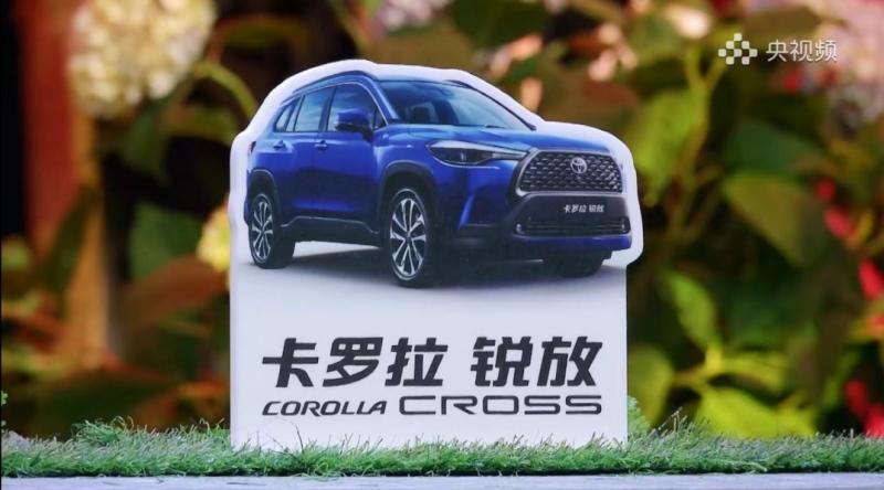 选择卡罗拉 锐放，玩转周末新花young