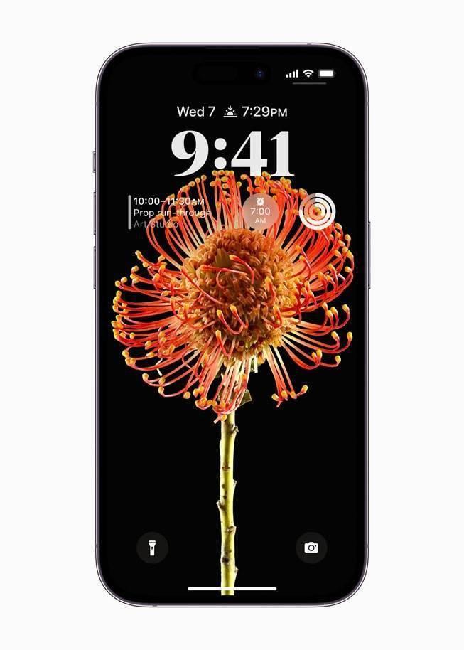 苹果 iOS 16 正式版发布;星巴克推出 Web 3 平台