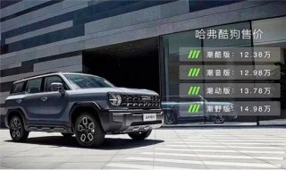 推荐四驱潮野版，哈弗酷狗购车手册
