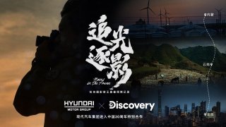 共护绿色 现代汽车集团携手Discovery走进草原最美村庄