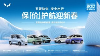 保“价”护航，上汽通用五菱新能源春节前不涨价