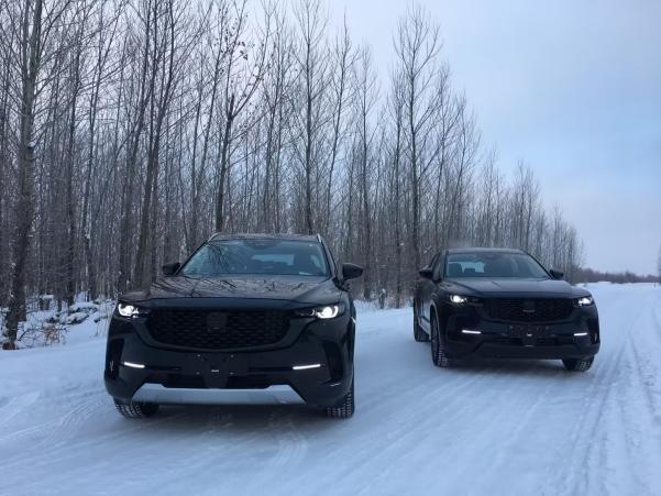 MAZDA CX-50测试谍照曝光，新车预计5月上市