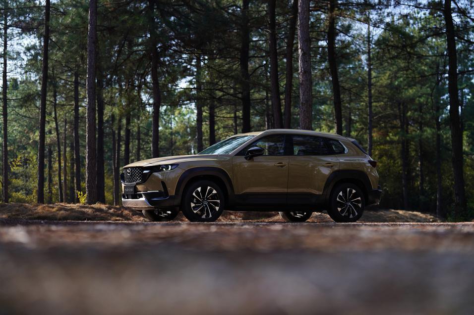 走进三江源 开启谧境探索之旅,MAZDA CX-50 「首席VIP体验官」招募集结中