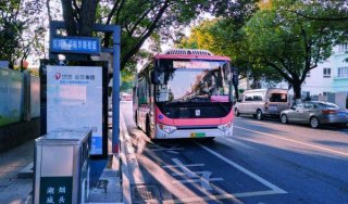 星际跃入湖州，璀璨那一抹玫瑰红