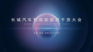 长城汽车森林生态成果爆发，发布全新智能四驱电混技术Hi4