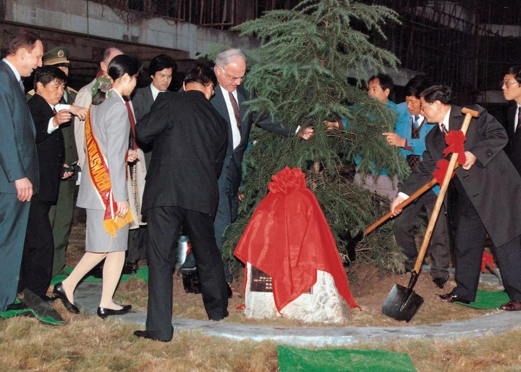 中德友谊树“搬新家”,常青树下的故事仍在继续