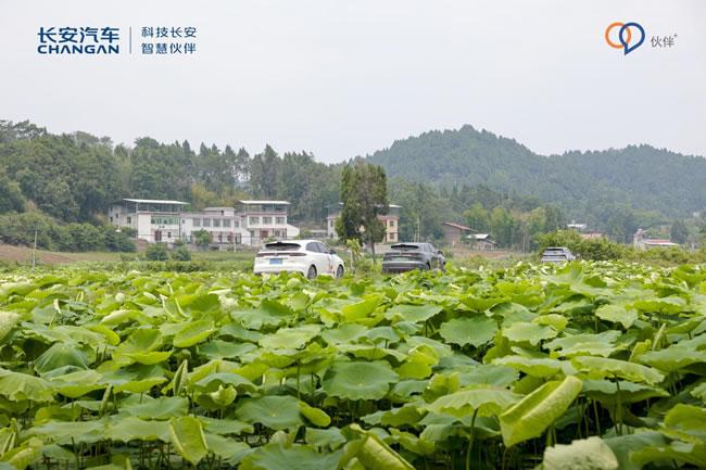 以爱为名,伙伴同行—长安汽车用户深入大山开展爱心公益助学