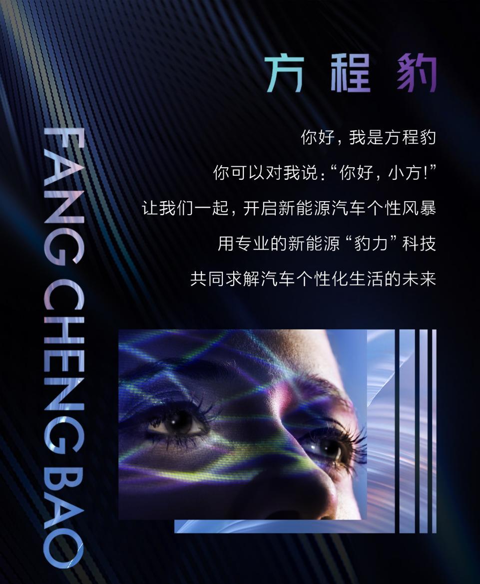 你好,小方!比亚迪F品牌定名方程豹