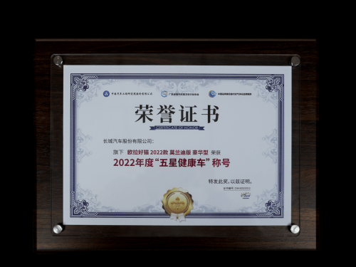 好猫和海豚,谁是女生的心头好?