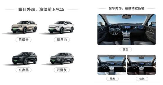 打造个性化定制，哈弗枭龙系列专属定制车来了