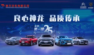 “中华第一撞”25周年 东风雪铁龙、东风标致坚持做用户的品质知音
