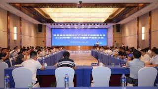 湖北省车规级芯片产业技术创新联合体成果初显