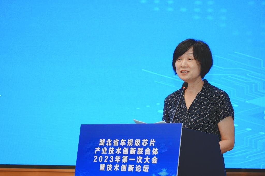 湖北省车规级芯片产业技术创新联合体成果初显