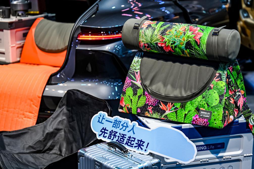 飞凡成都国际车展车主志愿者丨为热爱证言,共启非凡旅程