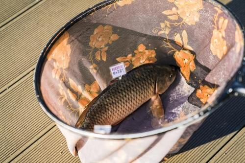 当顶流皮卡遇见高端垂钓 江西五十铃＂2023这就是钓鱼＂长春站完美收官
