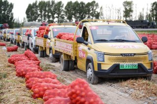 满载收获 传递幸福 菱势汽车黄金卡助力西北丰收