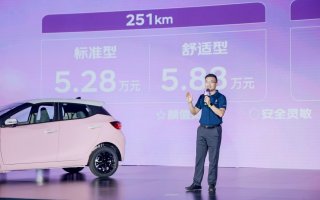为中国年轻家庭而生，易至EV3青春版灵动上市售价5.28万起