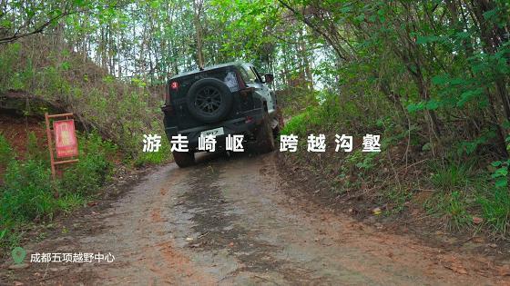 科技创新打开发展新天地,东风公司向新赛道突飞“猛”进