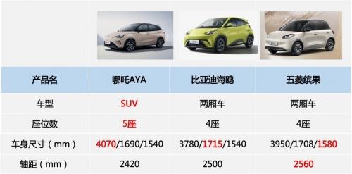 想买一款大玩具驶向2024年，哪吒AYA、缤果、海鸥该如何选？