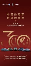 双料冠军！比亚迪年销破300万破中国市场销售记录