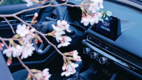 樱花季|与思域一起踏入武汉春天