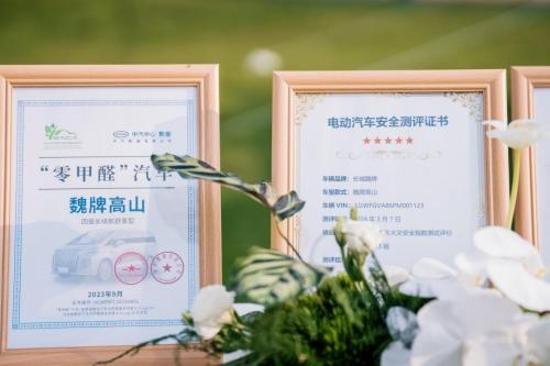 关于魏牌高山MPV的“金刚罩”,你所关心的都在这里了