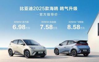 鸥气升级 比亚迪2025款海鸥正式上市 售6.98万元-8.58万元