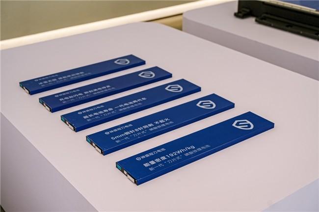 院士称:安全是磷酸铁锂电池的核心标签