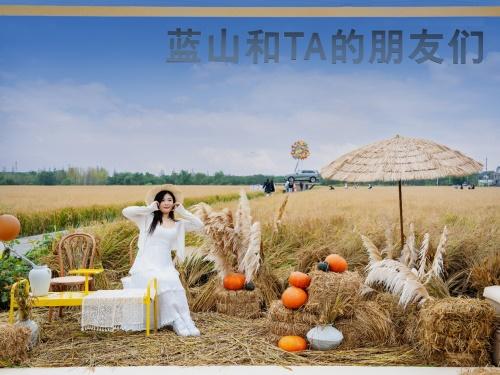 童话世界里的飞屋环游记,魏牌全新蓝山带你开启