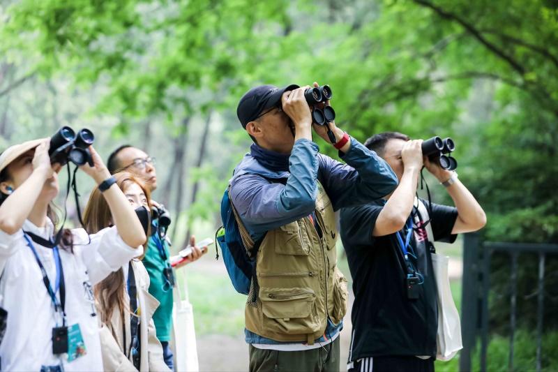 世界城市日——《北京自然城市古树观赏指南》发布，奥迪中国邀您共绘绿色美好宜居城市画卷