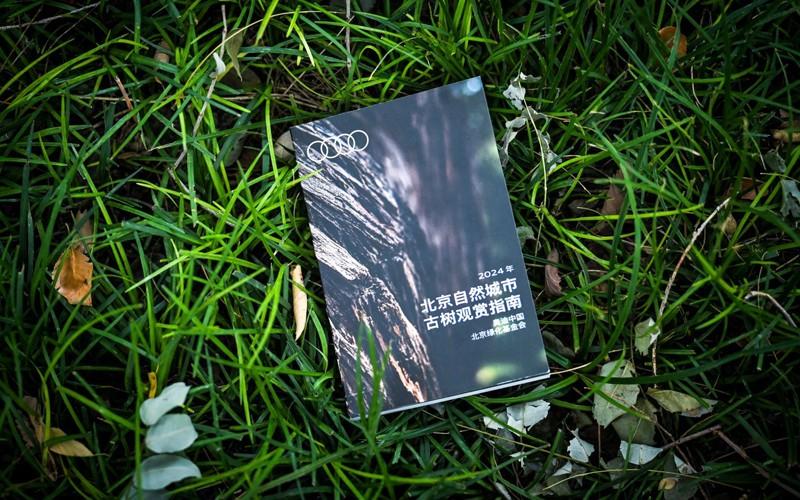 世界城市日——《北京自然城市古树观赏指南》发布，奥迪中国邀您共绘绿色美好宜居城市画卷