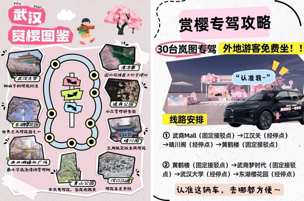 岚图知音护航武汉樱花季,免费接驳游客畅游满城美景
