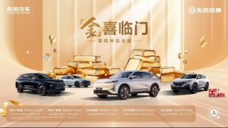 东风风神「金」喜临门——买风神赢金砖，这波福利玩真的！