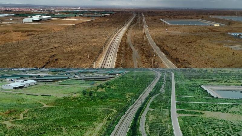 大众汽车集团（中国）耕绿五载：两千万平米沙地重焕生机