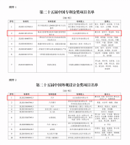 2项金奖！比亚迪再获国家级专利殊荣