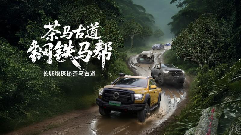 共创、共享、共赢 长城皮卡携手用户让中国皮卡在全球流行起来