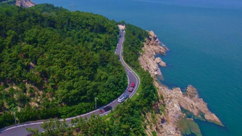 28年销量冠军+国内出口双第一背后：长城皮卡的质胜之道