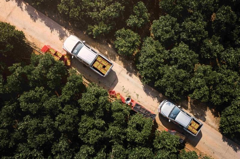 中国民生第一车——风骏20年，凭什么成为中国皮卡保有量最大车型？